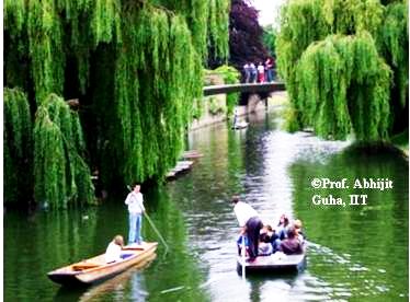 Weeping-Willow-and-River-Cam-Cambridge-Abhijit-Guha.JPG