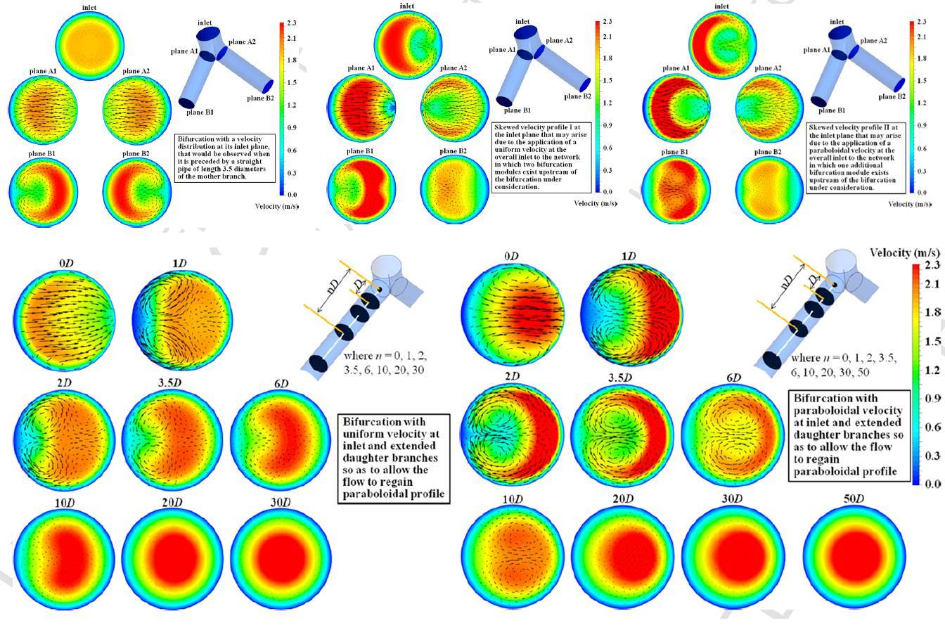 Fluid_dynamics_of_a_bifurcation_IJHFF-2_Guha_2019.jpg