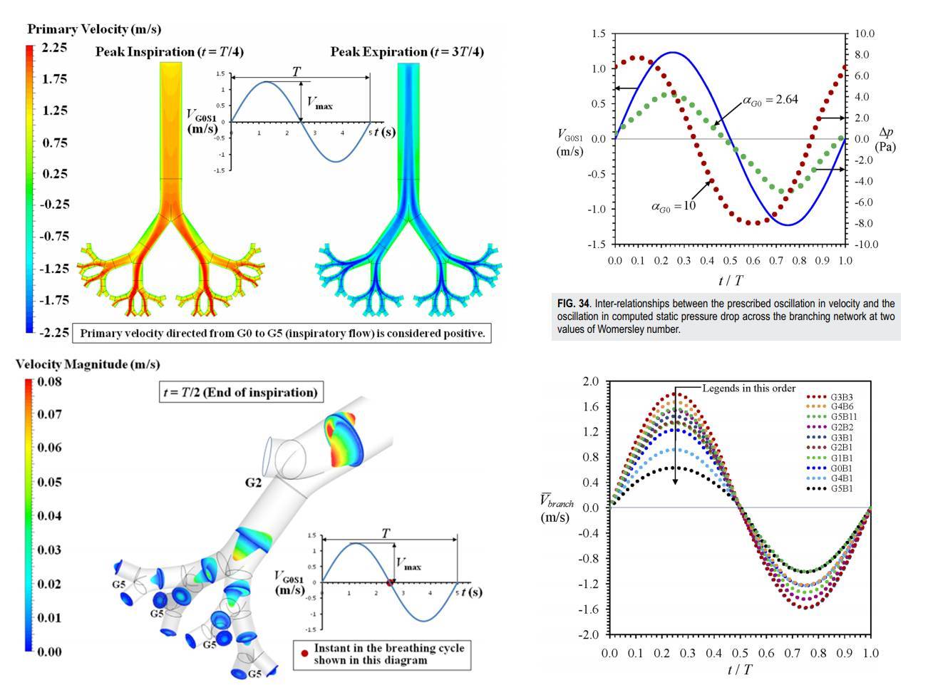 Oscillatory-flow-3D-branching-networks-Physics-Of-Fluids-2019-Guha-2.jpg