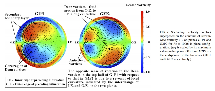 secondary_flow_fig7_physics_of_fluids_abhijit_guha_2017.jpg