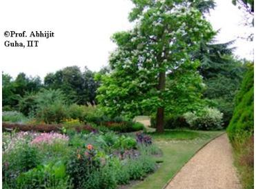 Fellows-Garden3-Trinity-College-Cambridge-Abhijit-Guha.JPG