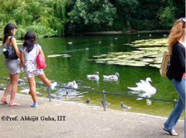 Park-near-Buckingham-Palace2-Abhijit-Guha.JPG