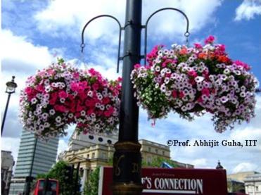floral-decoration-london-abhijit-guha.JPG