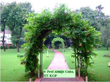 iit-kharagpur-green2-abhijit-guha.jpg