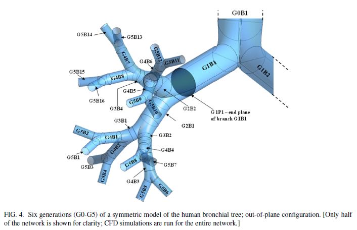 Order-in-complexity-Fig4-physics-of-fluids-abhijit-guha-2016.JPG