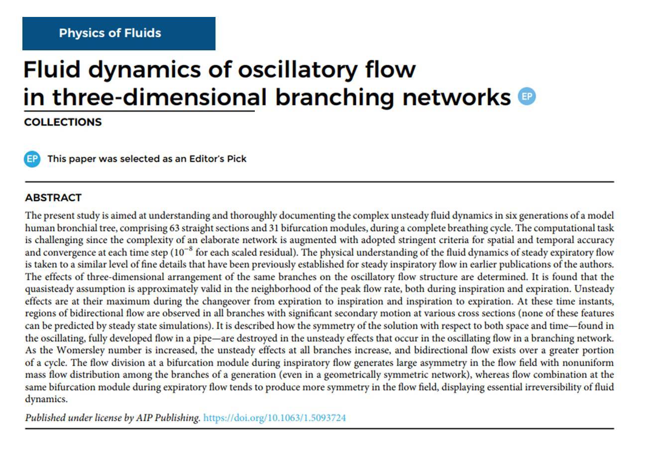 Oscillatory-flow-3D-branching-networks-Physics-Of-Fluids-2019-Guha-1.jpg