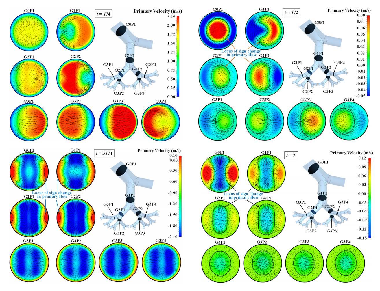 Oscillatory-flow-3D-branching-networks-Physics-Of-Fluids-2019-Guha-3.jpg