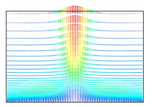 Natural Convection of regular fluids, nanofluids, non-Newtonian fluids