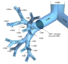 particle_transport_lung_abhijit_guha_iit.jpg