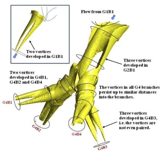 secondary_flow_fig17_physics_of_fluids_abhijit_guha_2017.jpg