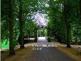 trinity-avenue-small-abhijit-guha.jpg