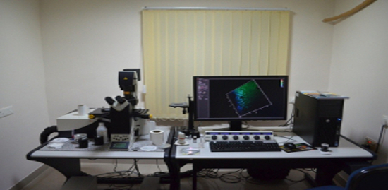 Confocal Microscope (TCS SP8)