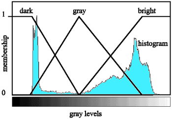 Fuzzification