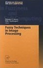Fuzzy Techniques