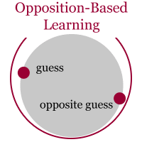 Opposition-Based Learning