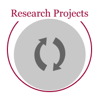 Research Projects