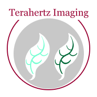 Terahertz Imaging